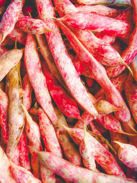 Cranberry beans, faded vintage look — Stock Photo, Image