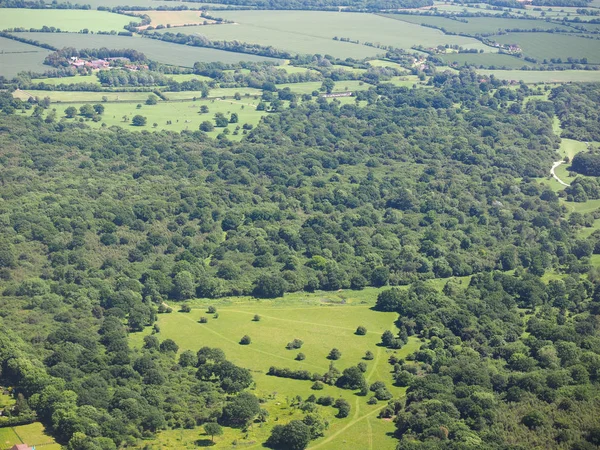 Vue aérienne de la forêt de Hatfield — Photo