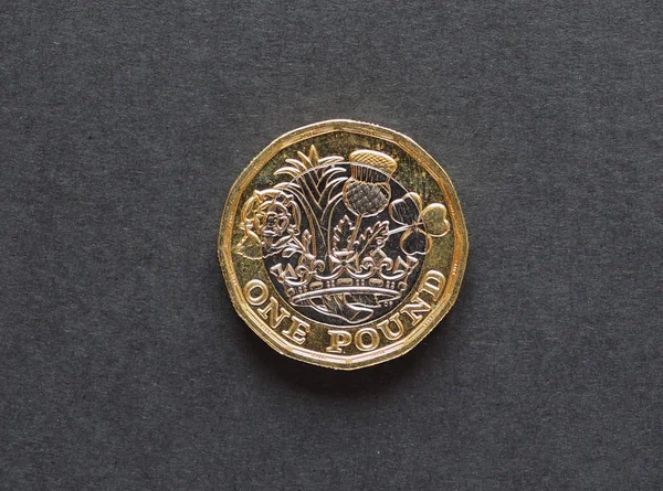 1 ポンド硬貨、イギリス — ストック写真
