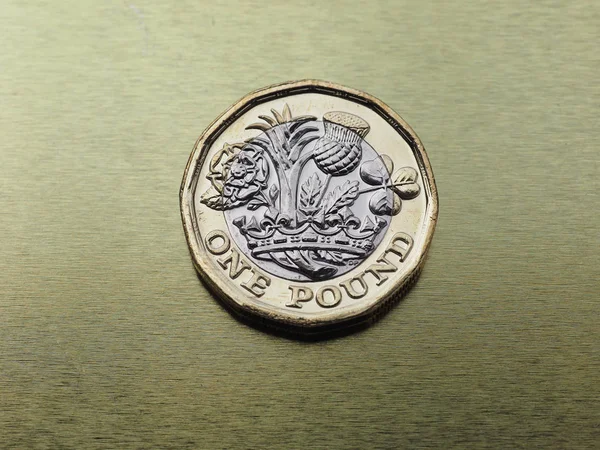 1 英镑硬币，联合王国对黄金 — 图库照片