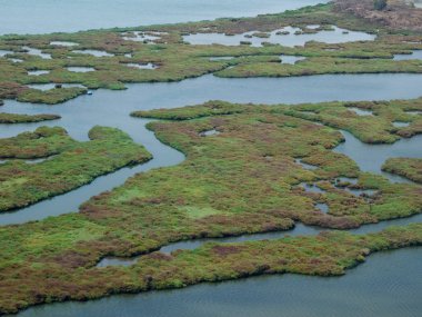 Stagno di Cagliari (Cagliari havuzu) lagoon