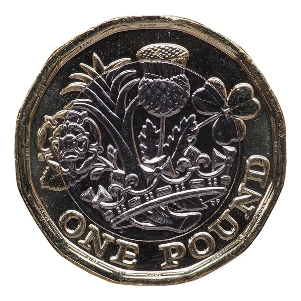 Новая монета в 1 фунт, Великобритания изолирована от белого — стоковое фото