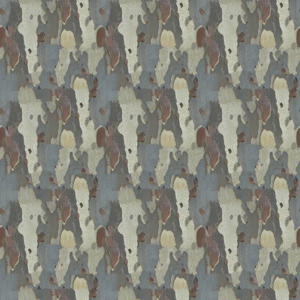 sorunsuz doku kabuk arka plan