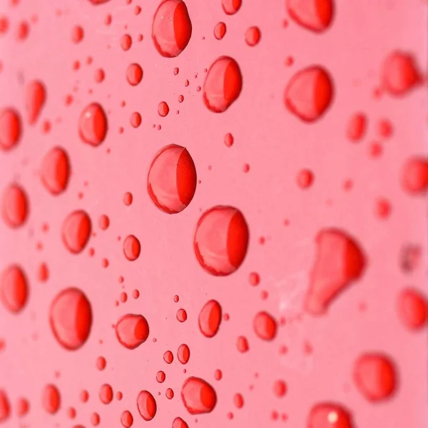 Rain drops on red — Stock Photo, Image
