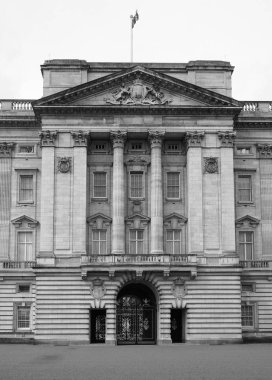 Buckingham Sarayı Londra siyah ve beyaz