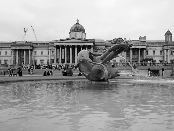 Ludzie na Trafalgar Square w Londynie czarno-białe — Zdjęcie stockowe