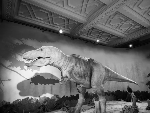 Musée d'histoire naturelle de Londres noir et blanc — Photo