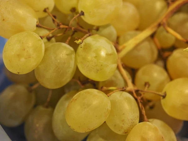 Uva branca fruta comida — Fotografia de Stock