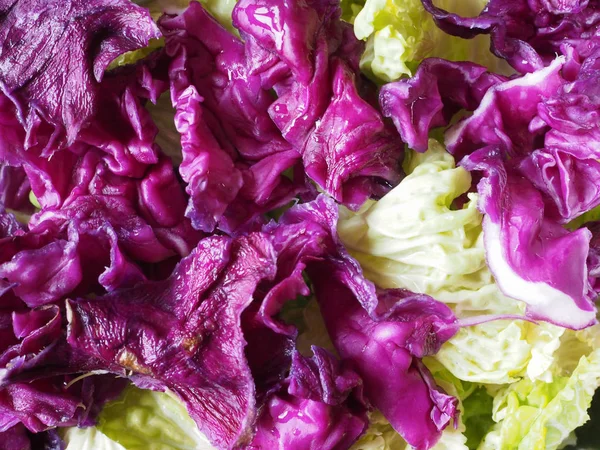 Repollo verduras alimentos —  Fotos de Stock
