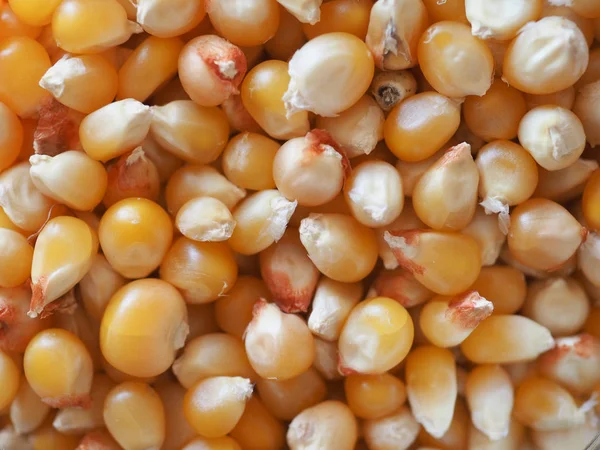 Maíz pop maíz —  Fotos de Stock