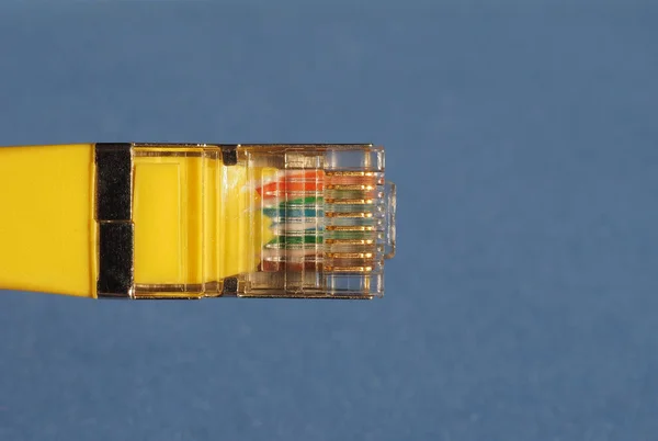 Rj45 ethernet kabel — Stock fotografie