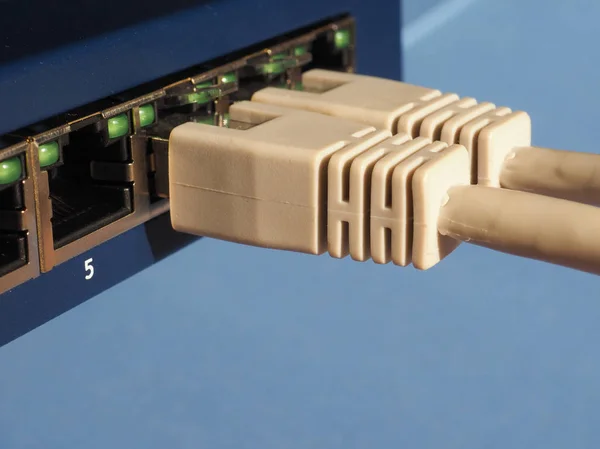 Modem router switch med Rj45 plug Ethernetportar — Stockfoto