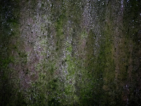 Grunge dunkelgrau Betonstruktur Hintergrund — Stockfoto