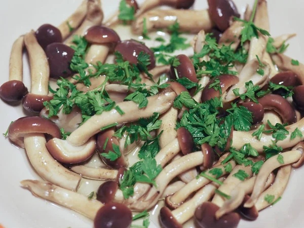 Cogumelos álamo aka veludo pioppini cogumelo alimento — Fotografia de Stock