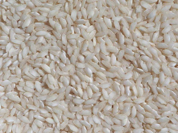 Carnaroli pirinç gıda — Stok fotoğraf