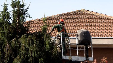 Bahçıvan ağaç budama