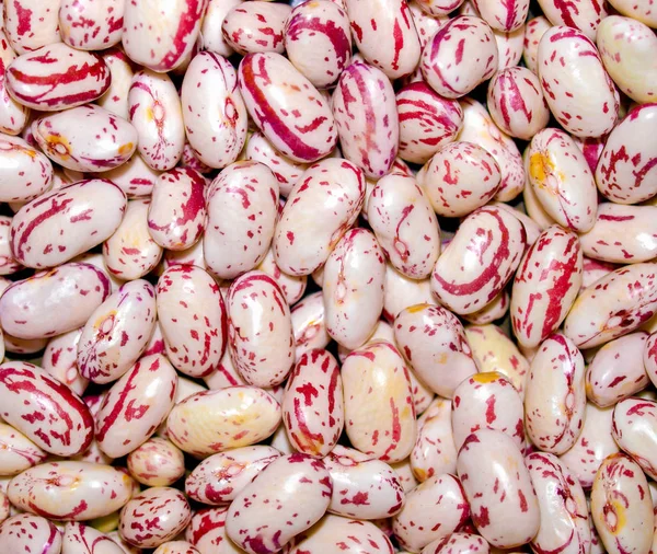 Beans useful ad background — Stock Photo, Image