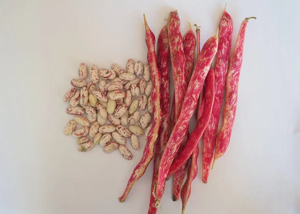 Crimson Beans peulvruchten groenten voedsel — Stockfoto