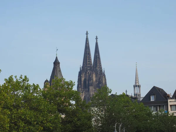 St Peter Cathedral in Koeln — Stock Photo, Image