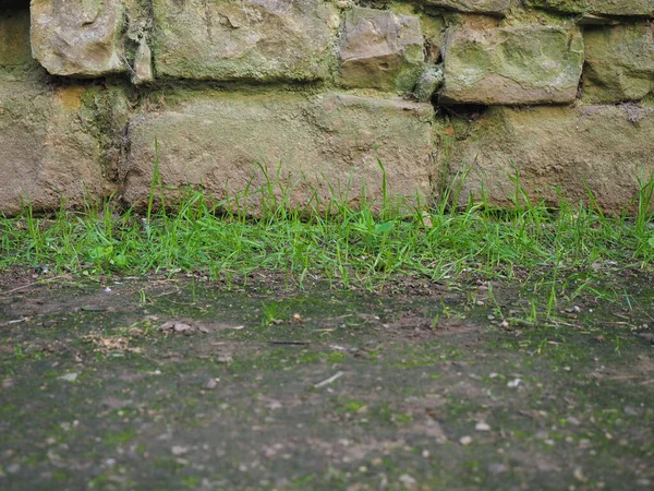 Sten wall och gräs bakgrund — Stockfoto