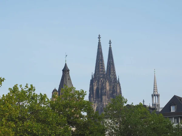 Собор Святого Петра в Кёльне — стоковое фото