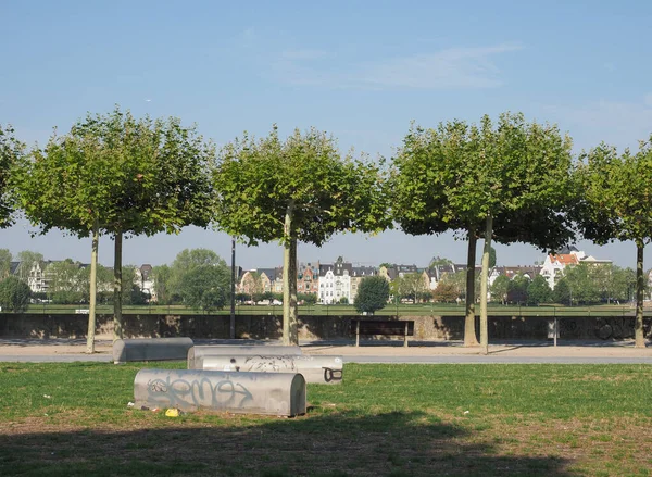 River Rhein view in Duesseldorf — Stock Photo, Image