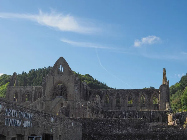 Opactwo Tintern (Abaty Tyndyrn) w Tintern — Zdjęcie stockowe