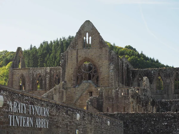 Tintern Abbey (Abaty Tyndyrn) i Tintern — Stockfoto