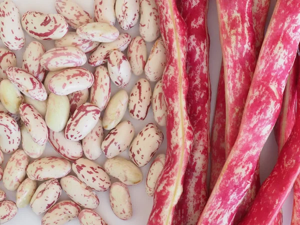 Frijoles carmesí legumbres verduras alimentos —  Fotos de Stock