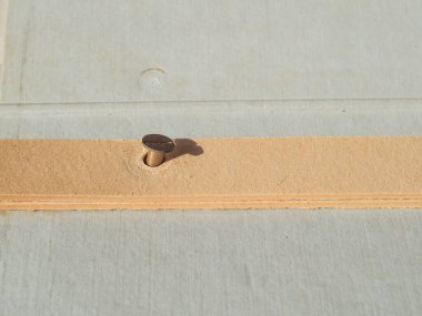 Vintage dosya sahibi