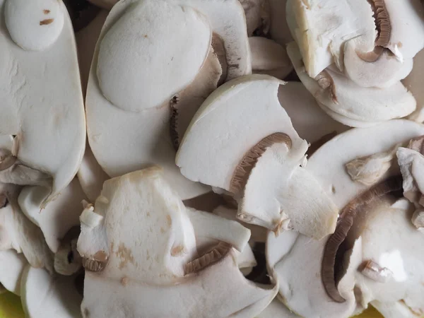Шампиньон грибной корм — стоковое фото