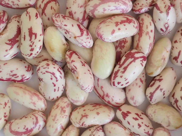 Feijão carmesim legumes legumes alimentos — Fotografia de Stock