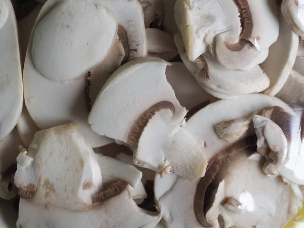 Шампиньон грибной корм — стоковое фото