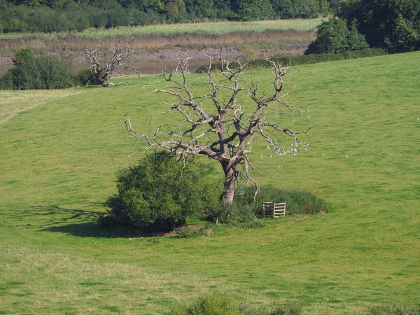 Vista del campo en Chepstow — Foto de Stock