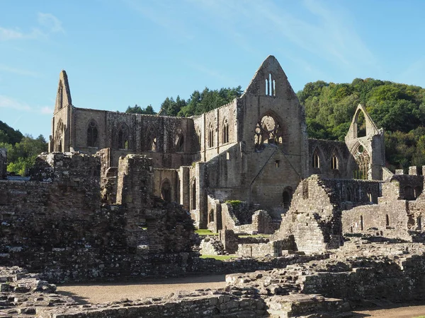 Abadía de Tintern (Abaty Tyndyrn) en Tintern — Foto de Stock