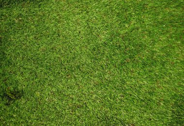 yeşil sahte çimen dokusu arka planı