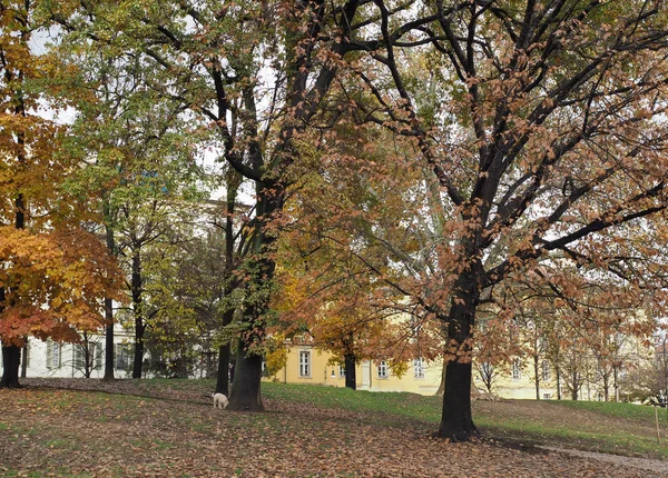 Torino 'da Giardini Cavour — Stok fotoğraf
