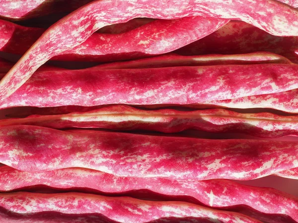 Crimson beans legumes vegetables food — Stock Photo, Image