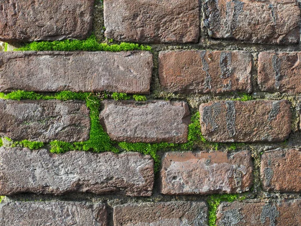 dark red brick wall with moss background