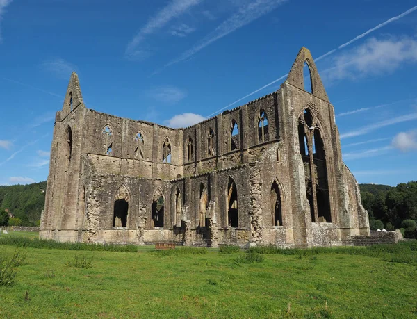 Abbaye de Tintern (Abaty Tyndyrn) à Tintern — Photo