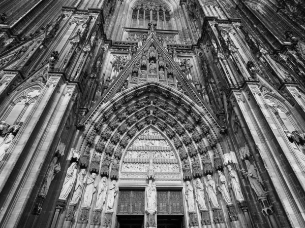 Katedra św. Piotra w Koeln, czarno-biała — Zdjęcie stockowe