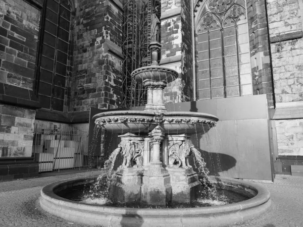 Petrusbrunnen (Fuente de San Pedro) en Koeln, blanco y negro —  Fotos de Stock