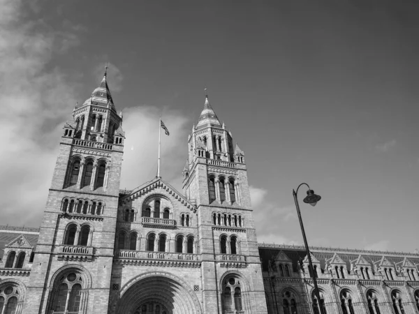 ロンドンの自然史博物館、白黒 — ストック写真