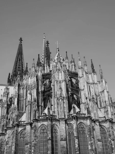 Cattedrale di San Pietro a Koeln, in bianco e nero — Foto Stock