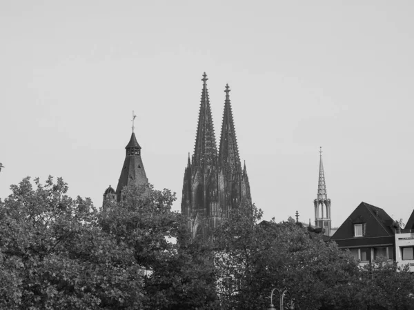 Koeln 'deki Aziz Peter Katedrali, siyah beyaz — Stok fotoğraf