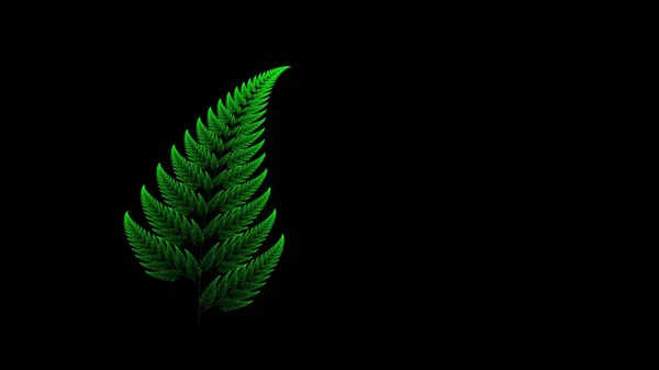 Green fractal fern — Stock Photo, Image
