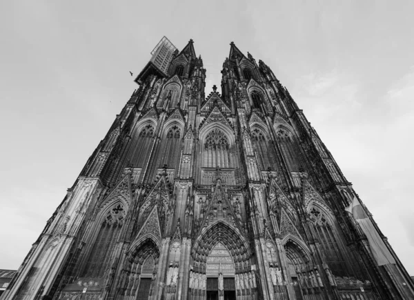 Catedral de San Pedro en Koeln, blanco y negro — Foto de Stock