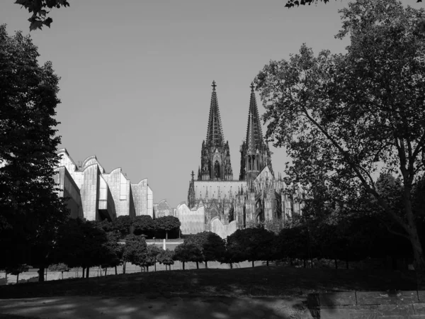Katedrála sv. Petra v Koelnu, černobílá — Stock fotografie
