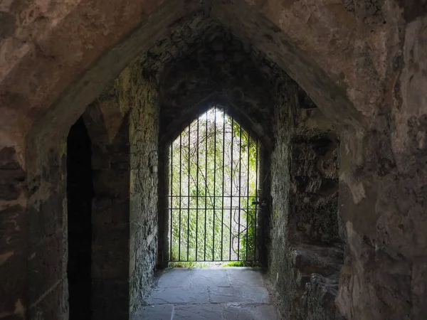 Chepstow Castle ruins in Chepstow — Stock Photo, Image