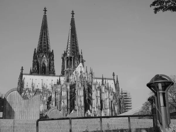 Koeln 'deki Aziz Peter Katedrali, siyah beyaz — Stok fotoğraf